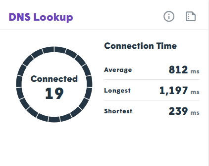 DNS Lookup Widget Interface
